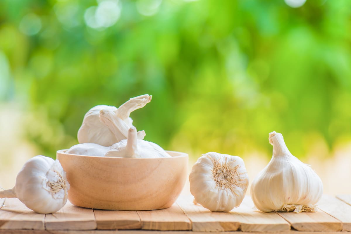 Descubre sus propiedades y beneficios para la salud.
