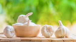 ¿Cuál es el superalimento que reduce el colesterol y la presión arterial?