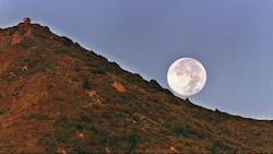 Este miércoles ocurrirá la última Superluna del 2025: ¿A qué hora y cómo verla en Chile?