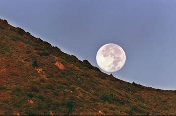 Este miércoles ocurrirá la última Superluna del 2025: ¿A qué hora y cómo verla en Chile?
