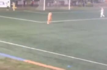 VIDEO | Polémica jugada de Paulo Garcés en Copa Chile: denuncian agresión