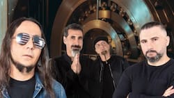 Sernac oficia a Lotus por concierto de System of a Down en Chile: así puedes ingresar tu reclamo