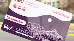 Solicita tu Tarjeta Bip! Adulto Mayor con uno de estos dos procedimientos