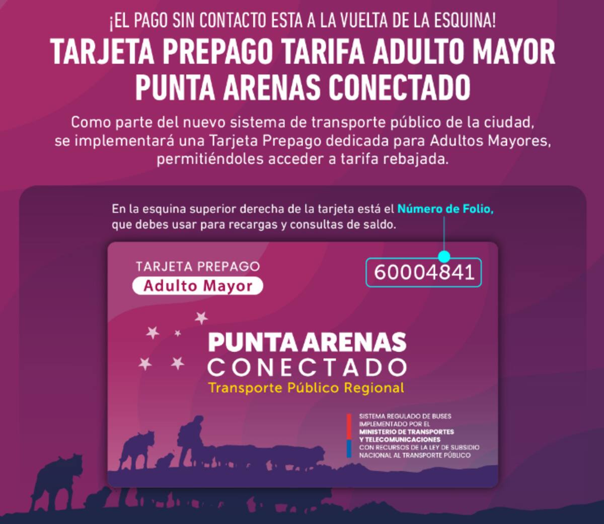 Así luce la tarjeta para adultos mayores en Punta Arenas.