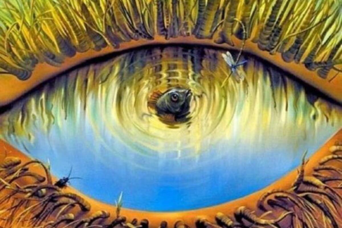 ¿Qué es lo que primero llama tu atención en la imagen?