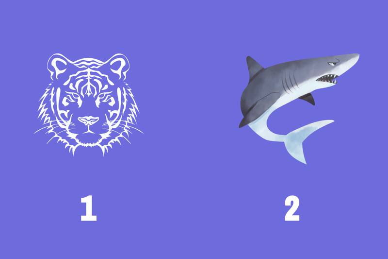 ¿Tigre o Tiburón blanco? Descubre tu ser interior eligiendo la imagen que más te represente