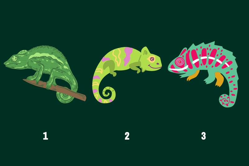 ¿Cuál camaleón te llama más la atención?