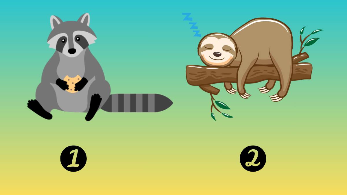 Test de Personalidad: Elige un animal y descubre si eres una persona diurna o nocturna