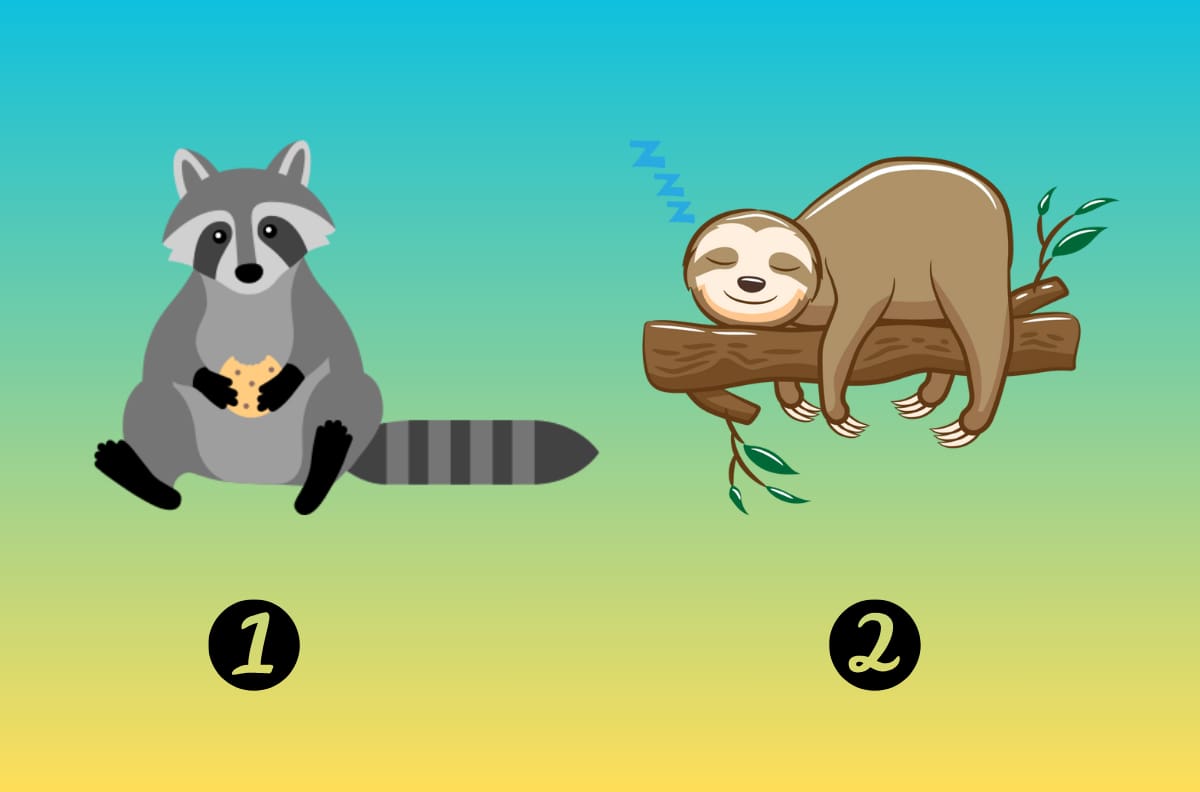 Test de Personalidad: Elige un animal y descubre si eres una persona diurna o nocturna
