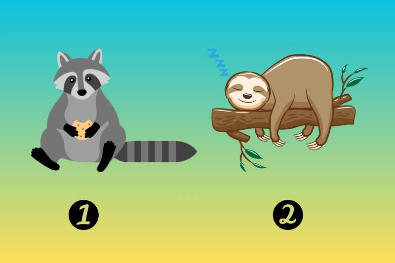 ¿Eres una persona diurna o nocturna?.