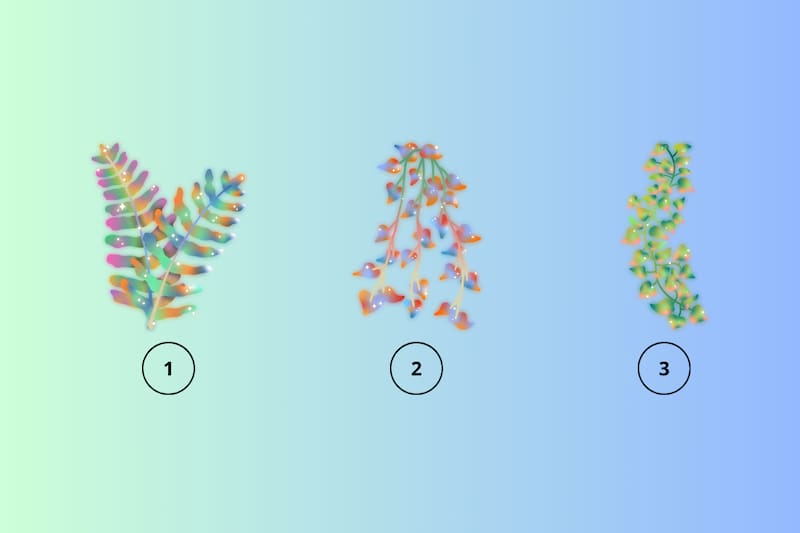 Elige una planta y descubre si estás o no listo para florecer.