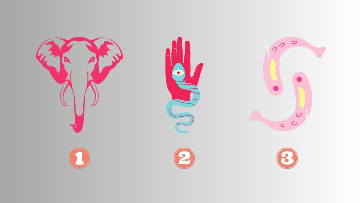 Elige un animal y conoce qué necesitas potenciar en tu forma de ser