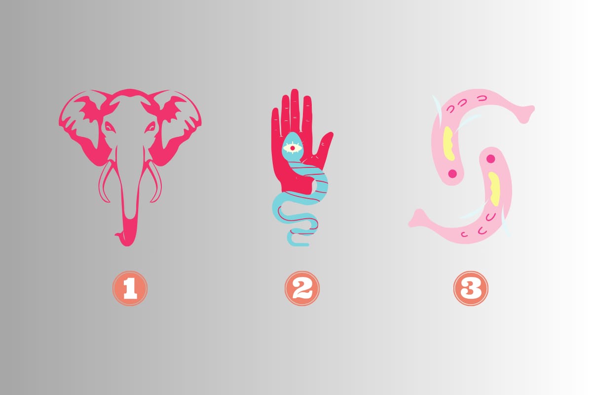 ¿Qué dice de ti el animal que prefieras?