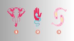 Elige un animal y conoce qué necesitas potenciar en tu forma de ser