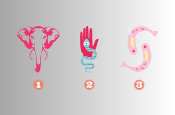 Elige un animal y conoce qué necesitas potenciar en tu forma de ser