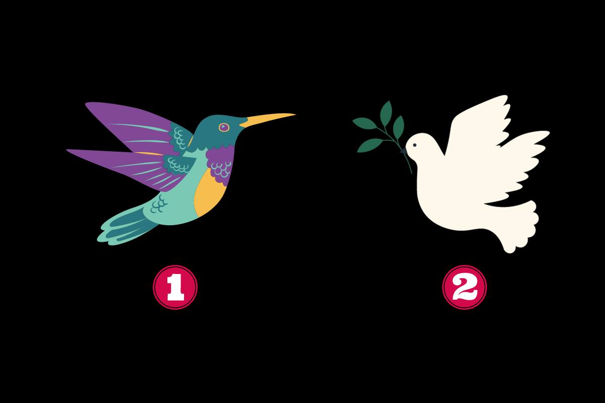 ¿Colibrí o paloma blanca? Escoge una y descubre tu verdad.