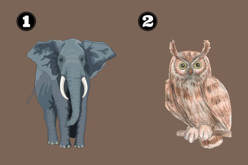 Descubre si eres alguien sabio o no. Foto: Tiempox.com