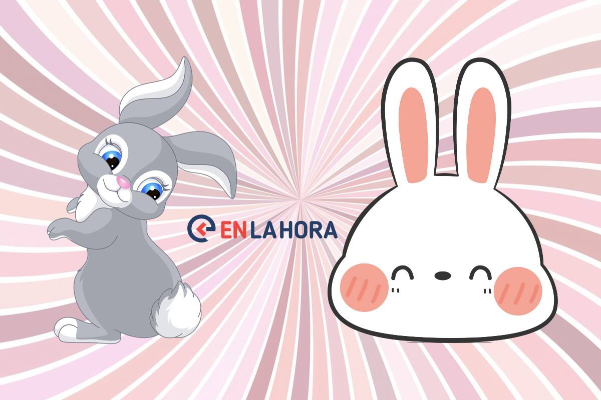 Test de personalidad de conejitos