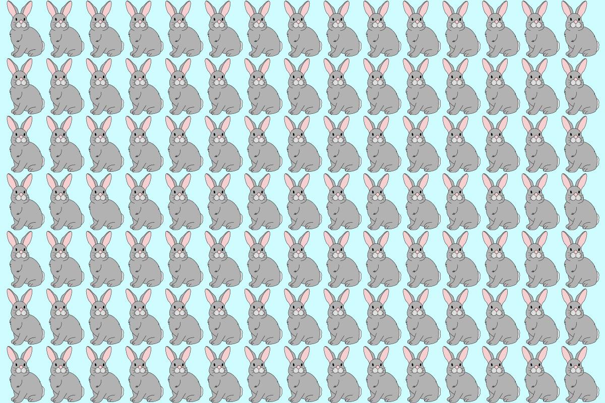 Encuentra a los dos conejitos diferentes.