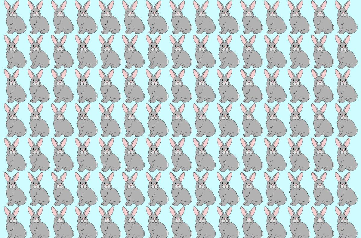 Inténtalo en menos de 10 segundos: Encuentra a los 2 conejos diferentes en este test visual