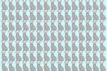 Inténtalo en menos de 10 segundos: Encuentra a los 2 conejos diferentes en este test visual