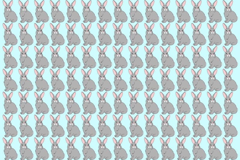 Encuentra a los dos conejitos diferentes.