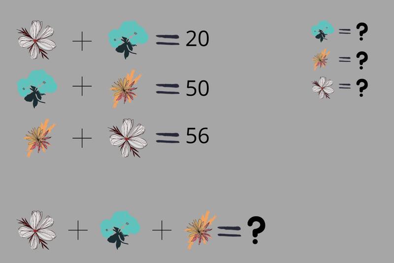 Comprueba tu genialidad en matemáticas con este desafío.