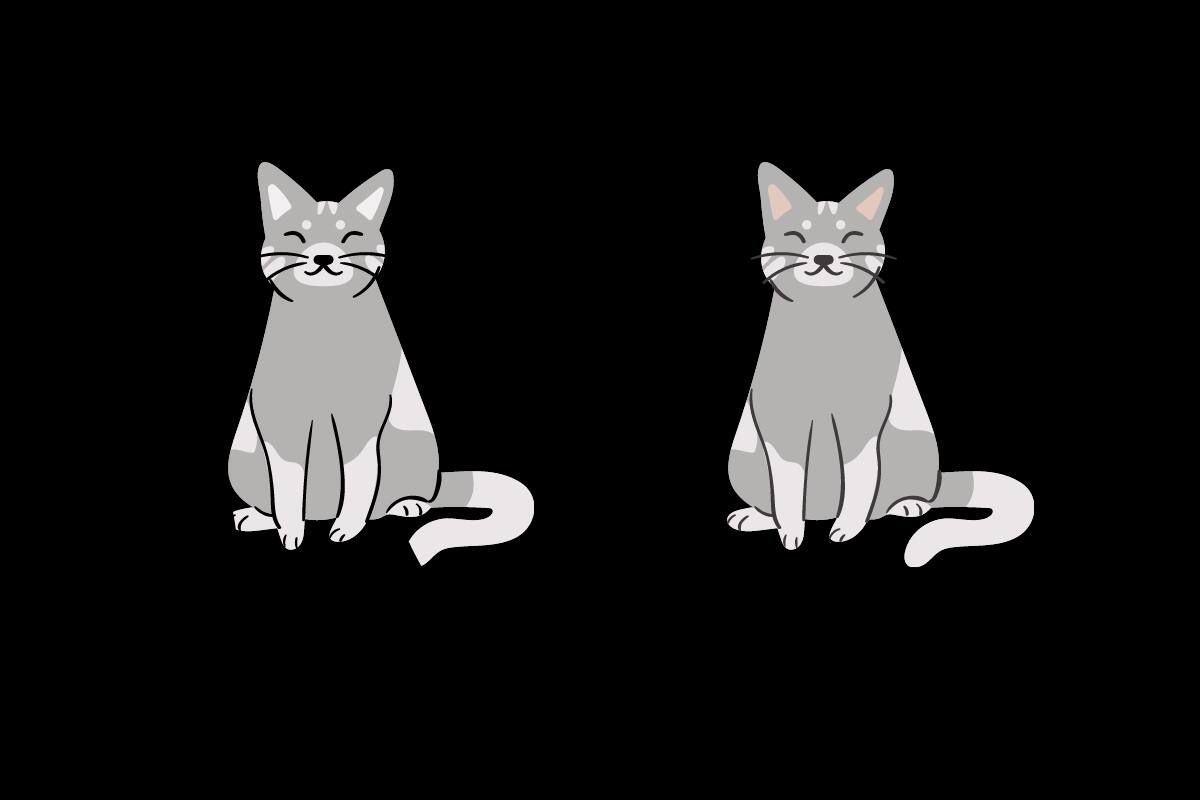 ¿Puedes encontrar las 6 diferencias?