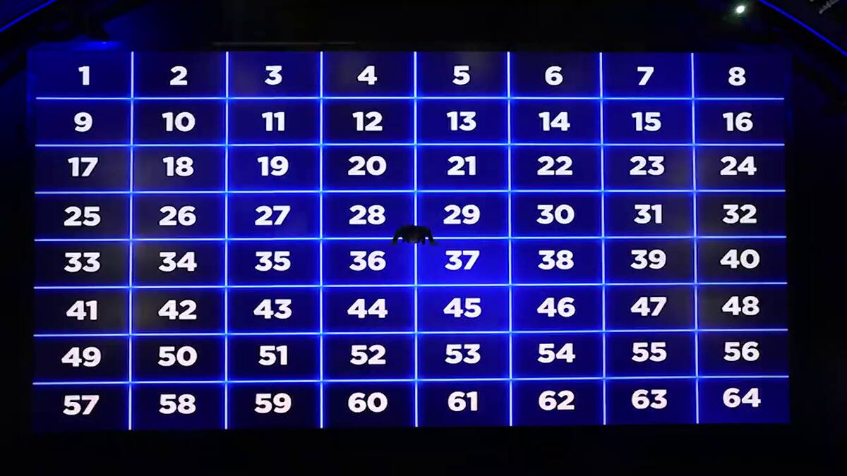 Eduardo Fuentes mostrando la que es, hasta ahora, la pantalla más grande que se ha usado en la televisión. Créditos: TVN.