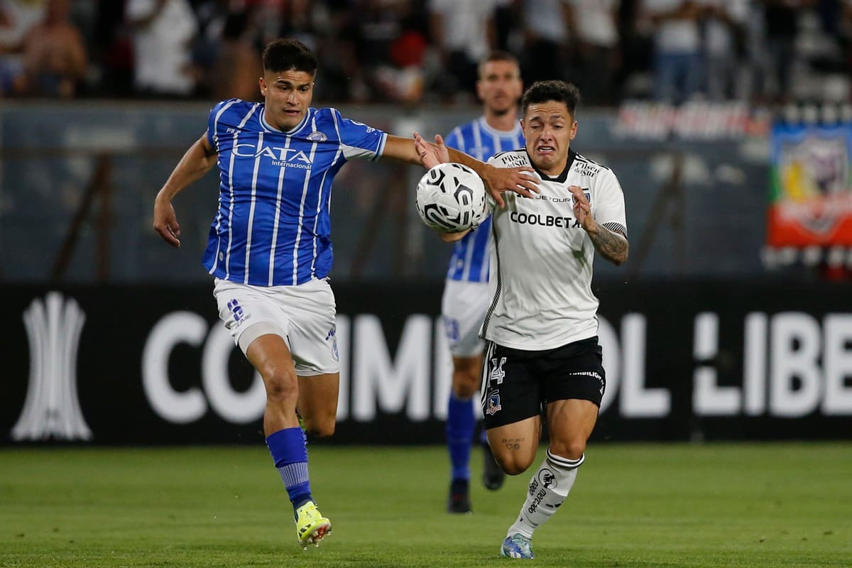 suma interesados en Argentina. Foto: Dragomir Yankovic/Photosport