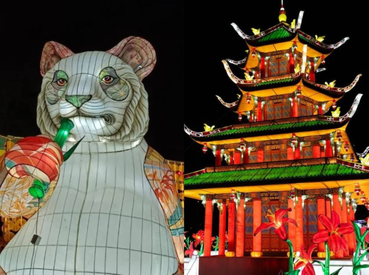 Este nuevo Festival Internacional de Luces Chinas trae este año nuevas e imponentes estructuras lumínicas.