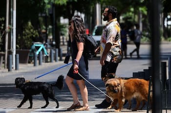 ¿Va a continuar el calor intenso en Santiago?: El pronóstico del tiempo para este viernes 23, sábado 24 y domingo 25 de enero