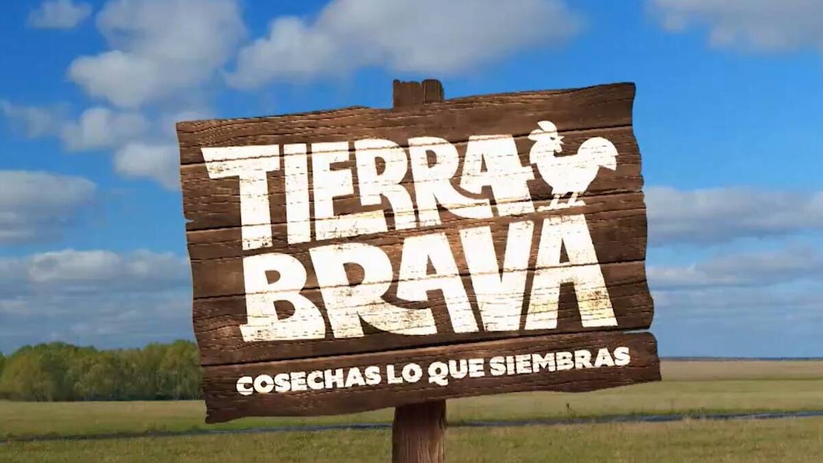 Exchica reality recordada por su paso en Tierra Brava realizó arriesgada acción tras sufrir violento asalto