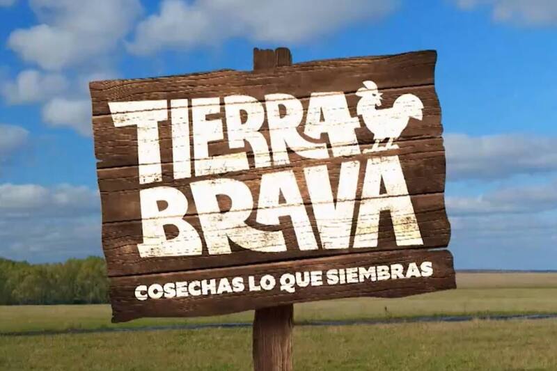 Créditos: Canal 13