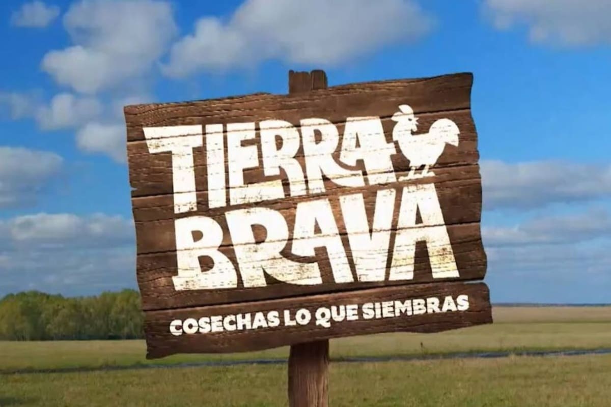 Créditos: Canal 13