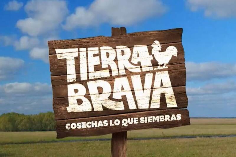 Créditos: Canal 13
