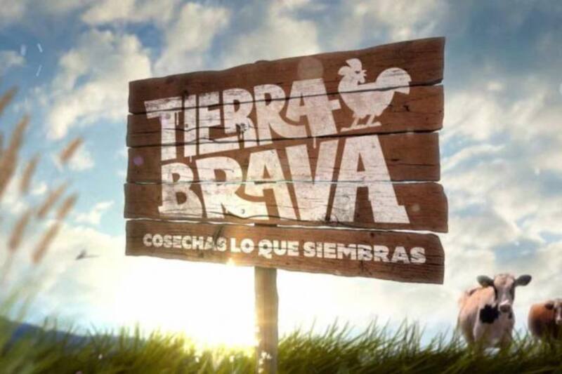 El programa de telerealidad de Canal 13 empezó en a inicios de octubre de este año.