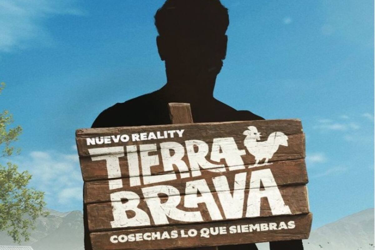 Créditos: Canal 13