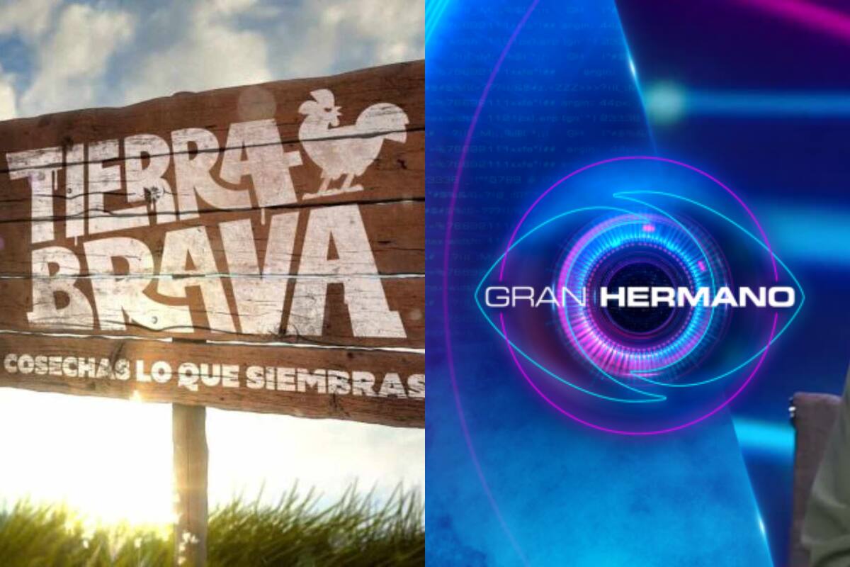 TiempoX tuvo acceso al rating promedio online que tuvo “Tierra Brava” y “Gran Hermano” Chile en el tramo horario que estuvieron ambos realitys al aire.