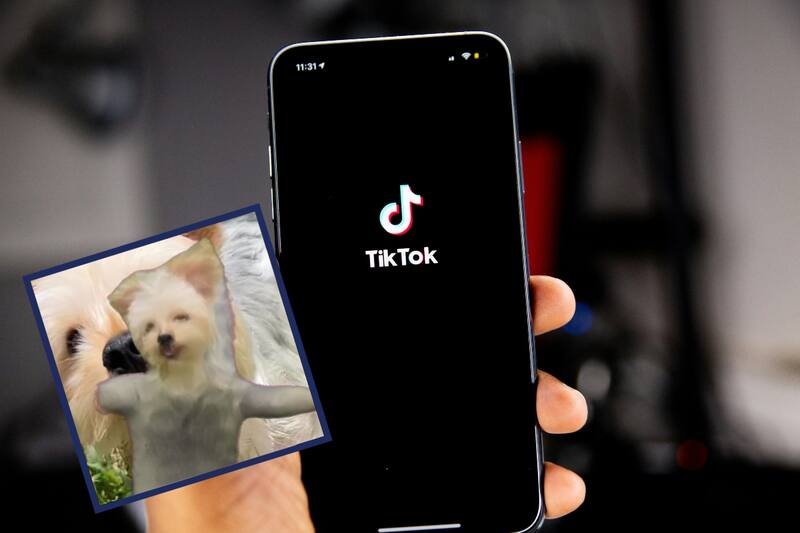 Aprende a editar tus fotos con IA.