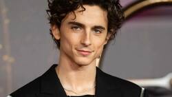 La película protagonizada por Timothée Chalamet que está disponible en Max