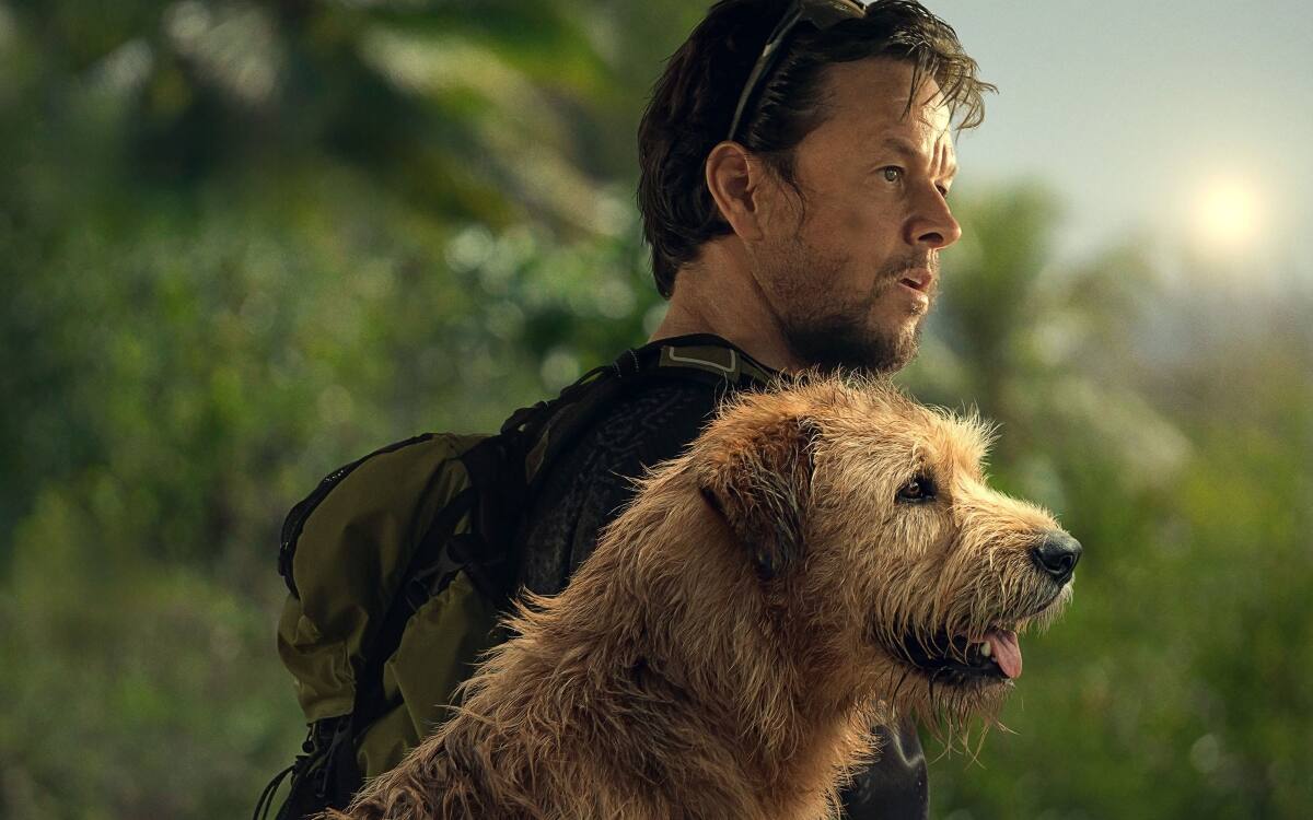 está disponible en Netflix.