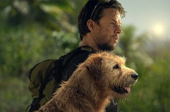 Experto en armas critica a Mark Wahlberg por su actuación en “Tirador”