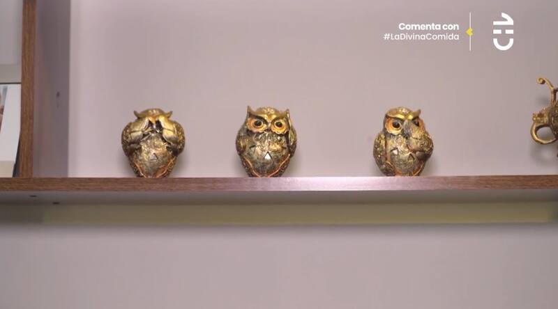 Los búhos que le regaló Pedro Engel. Créditos: CHV.