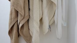 Truco casero y efectivo para quitar el olor a humedad de las toallas de baño