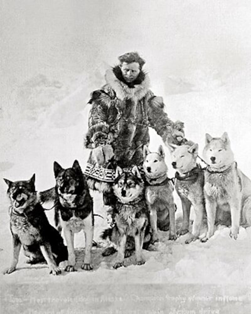 Perros más famosos del mundo.