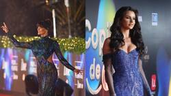 Gala del Festival de Viña 2025: Estos son los 10 famosos más esperados