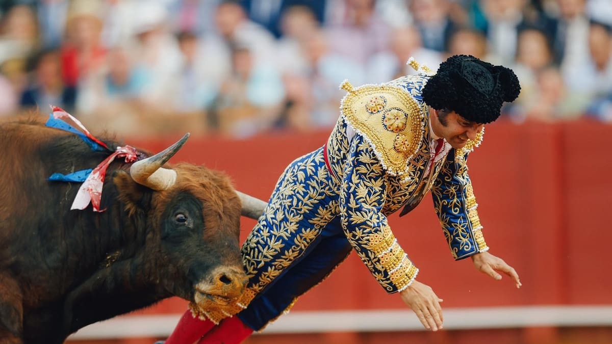 VIDEO | “10 cms. de perforación en el...”: Grave cornada a torero en España