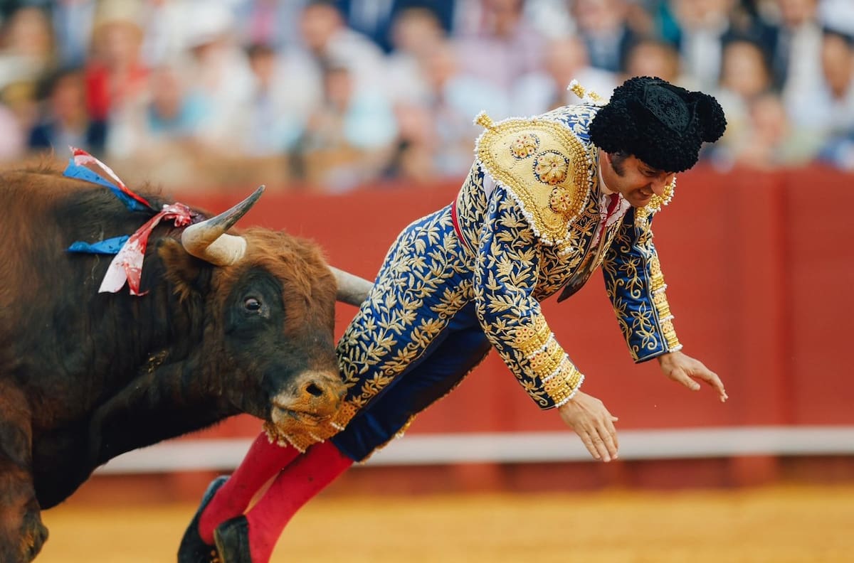 VIDEO | “10 cms. de perforación en el...”: Grave cornada a torero en España