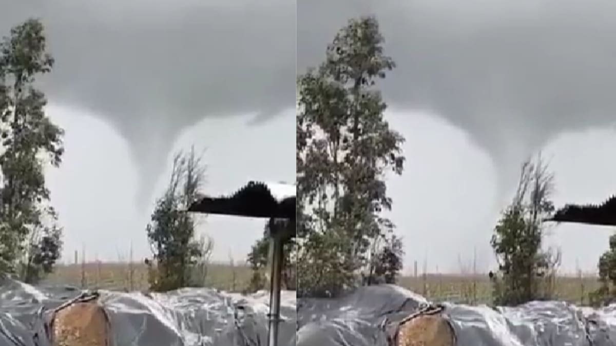 VIDEO | Impacto en la Región del Ñuble: Registran potente tornado en Chillán Viejo y Bulnes